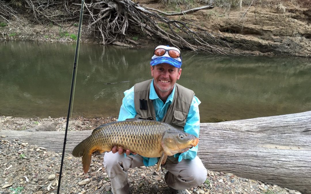 The 2019 carp muster is here