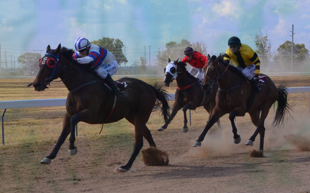 About Time reclaims the Narrabri Cup