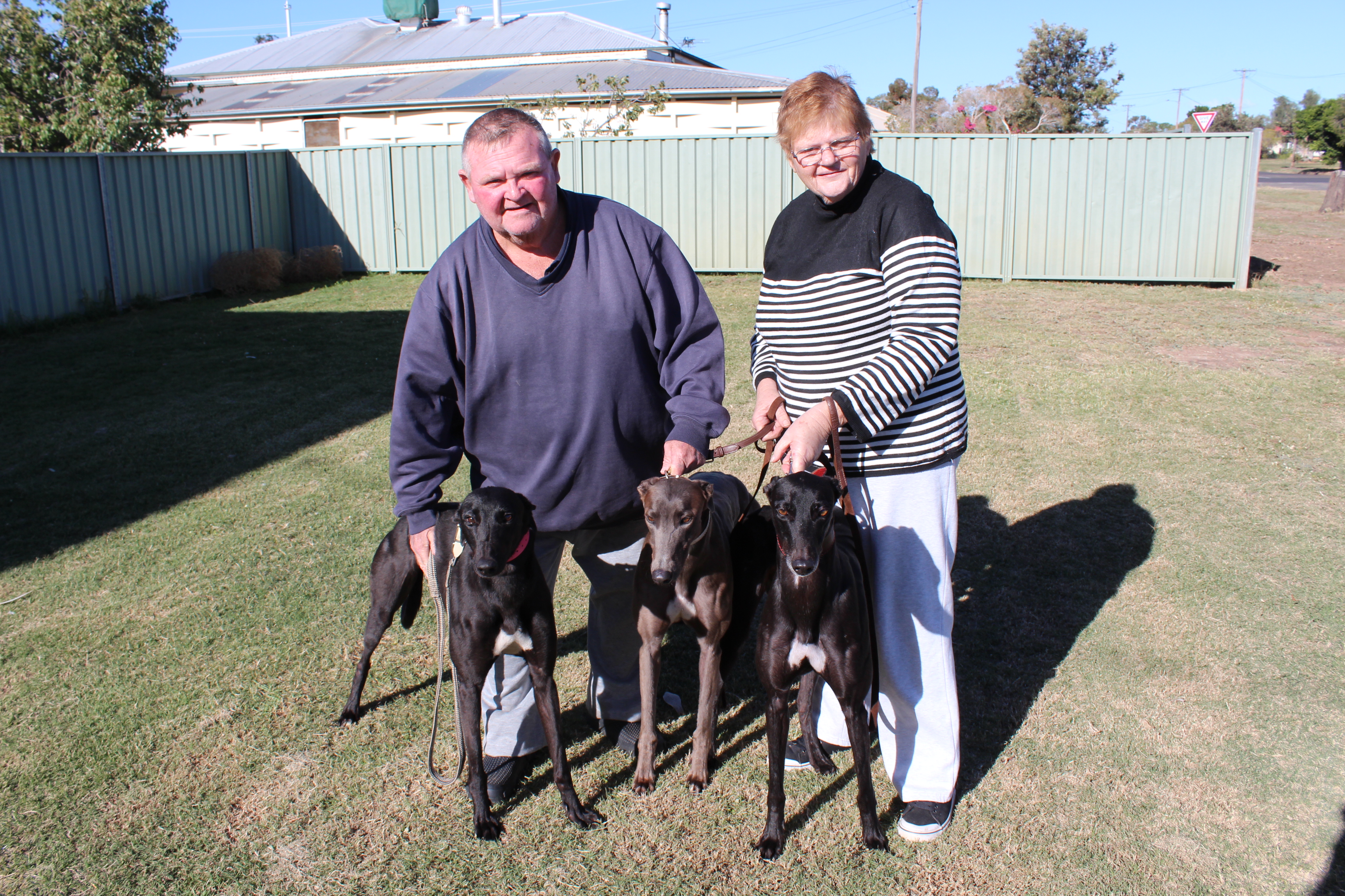 Locally-trained greyhounds excelling