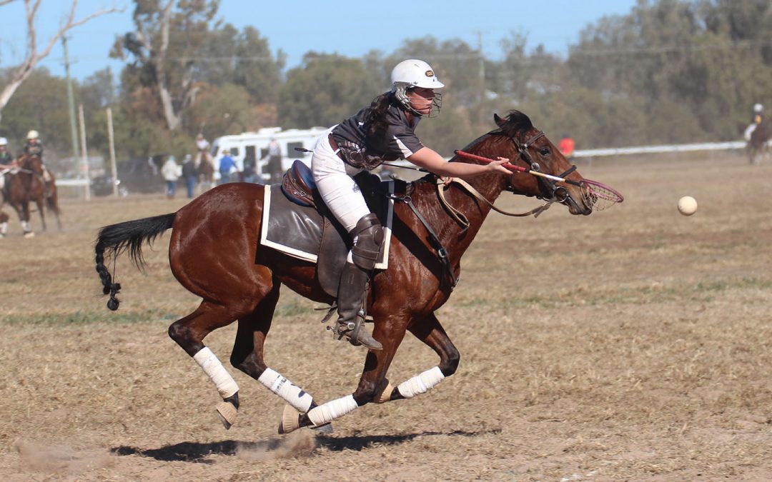 Great results for Galloping Gully at Narrabri carnival
