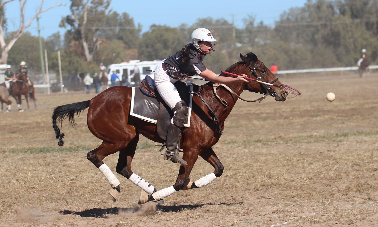 Great results for Galloping Gully at Narrabri carnival