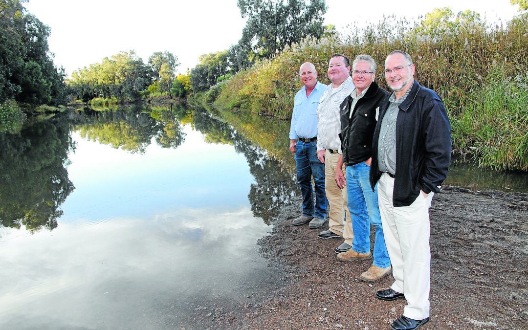 Creek weir study is proposed