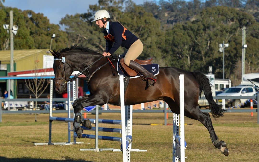 Molly wins ODE D-grade champion at NSW champs