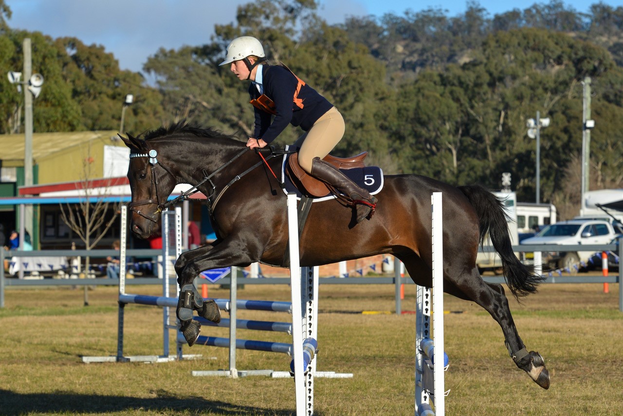 Molly wins ODE D-grade champion at NSW champs