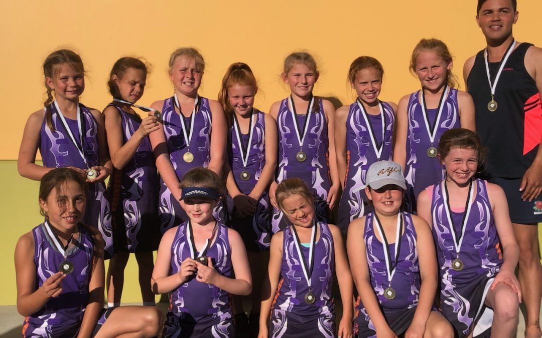 Local netballers star at the Tamworth  Carnival