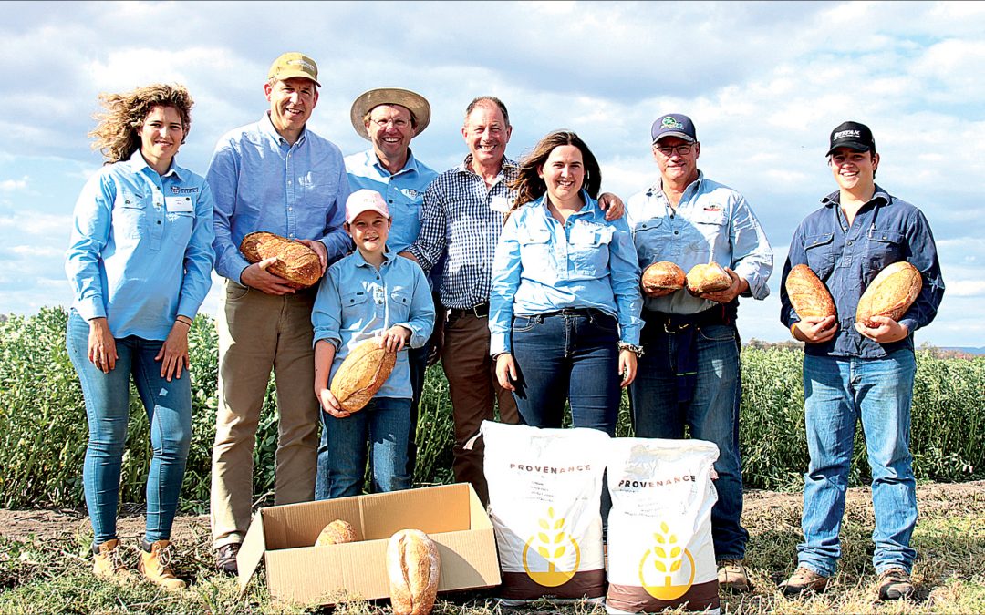 Record crowd numbers roll up for field day