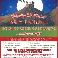 Shop local promotion launch