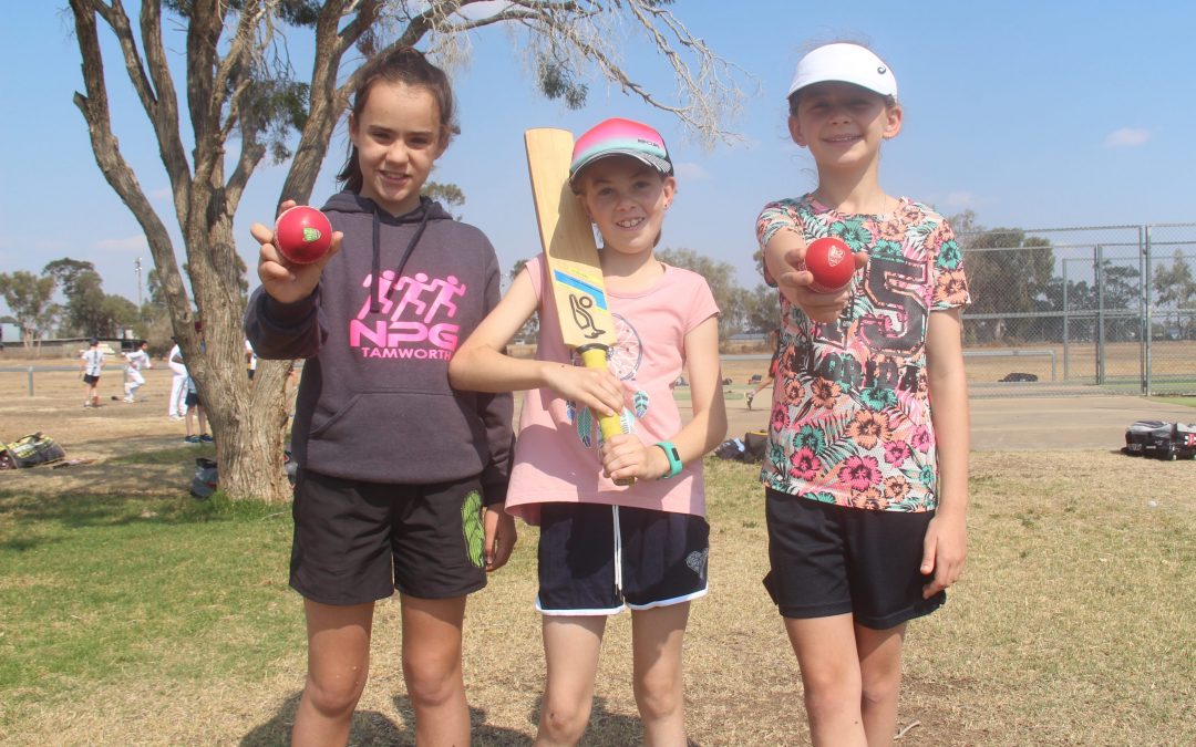 NDJCA to host four-week girls’ cricket program