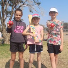 NDJCA to host four-week girls’ cricket program