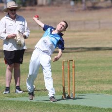 Everyone having a blast at junior cricket