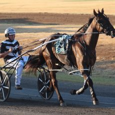 Kid Montana wins in his first start at Tamworth Paceway since August