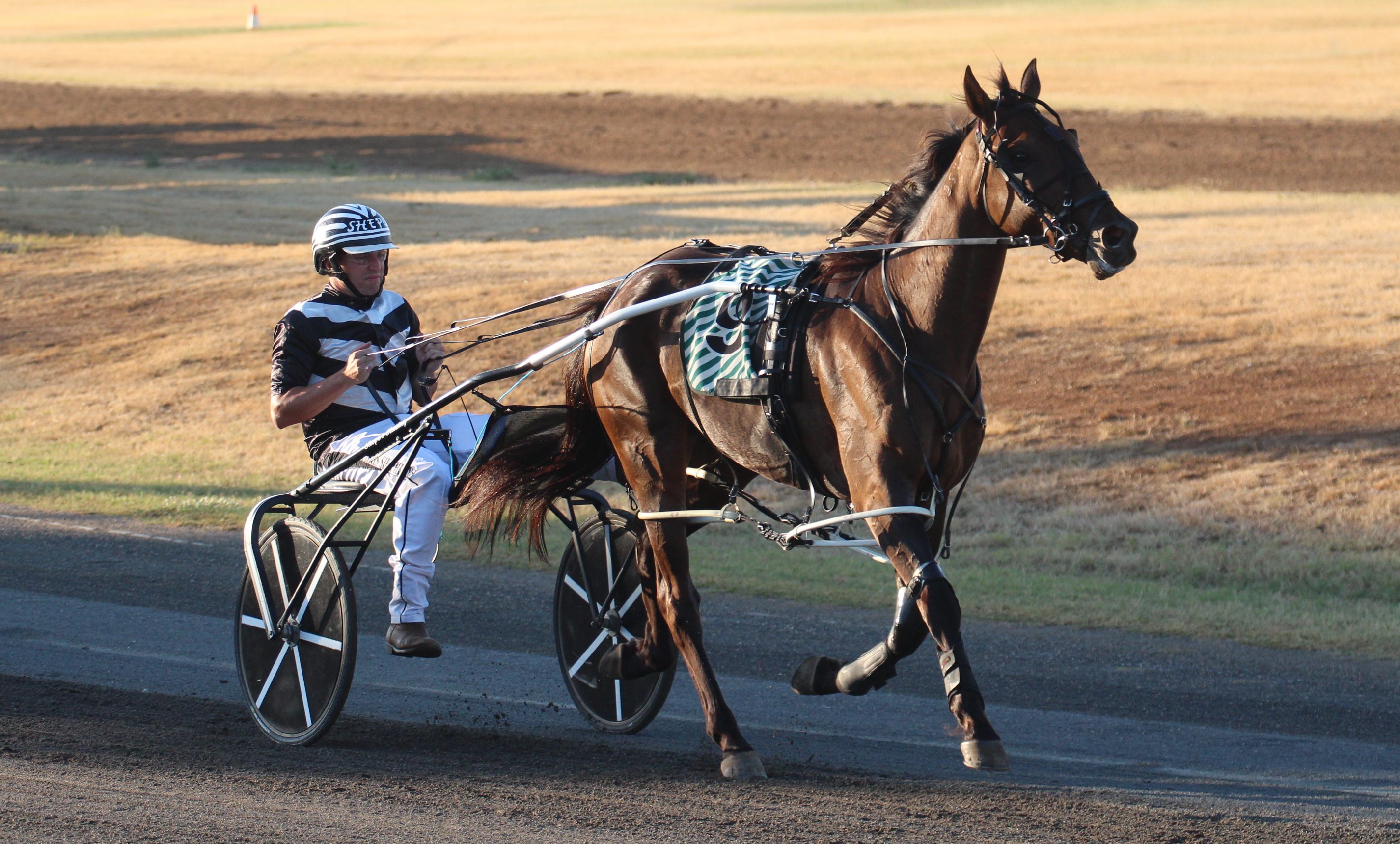 Kid Montana wins in his first start at Tamworth Paceway since August