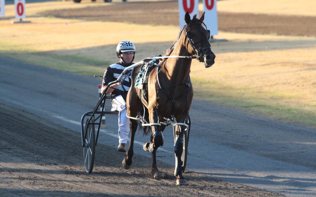 Narrabri Showground loses both harness racing meetings