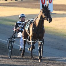 Kid Montana wins another big race at Albion Park