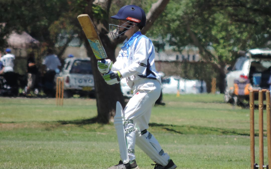 Junior cricket off to a strong start