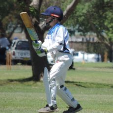 Junior cricket off to a strong start