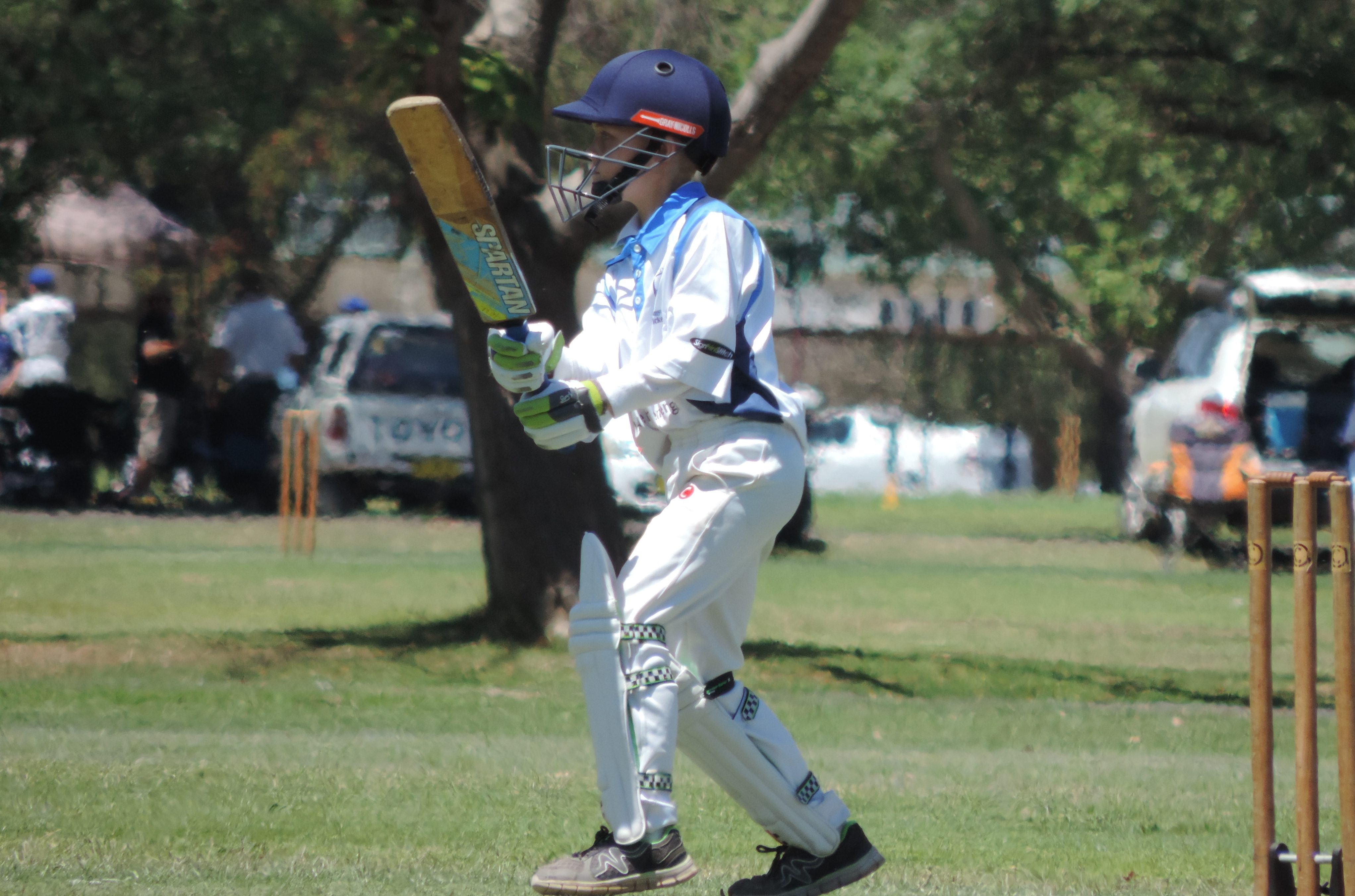 Junior cricket off to a strong start