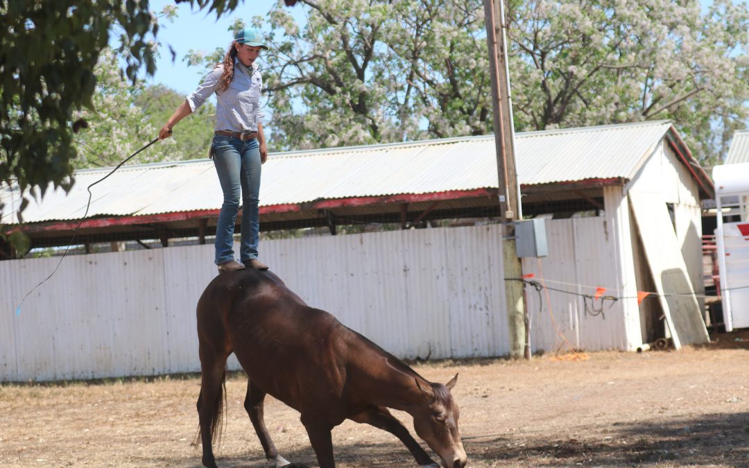 Kate Clancy entertains at the Narrabri Pony Camp