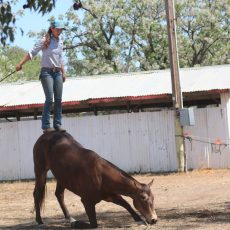 Kate Clancy entertains at the Narrabri Pony Camp