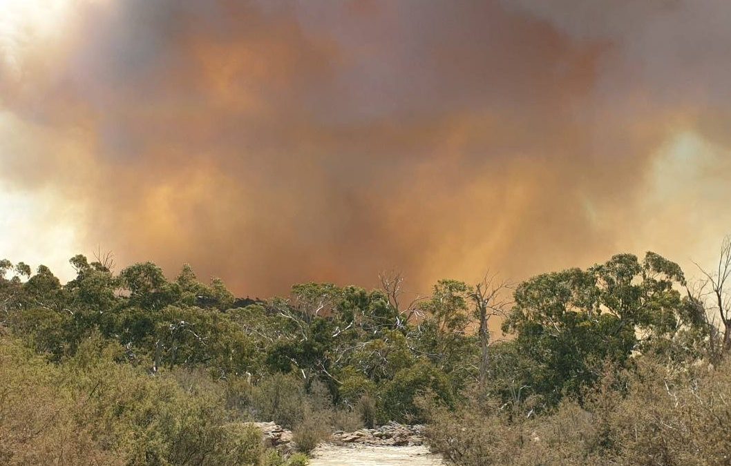 Narrabri Rural Fire Brigade update