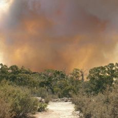 Narrabri Rural Fire Brigade update
