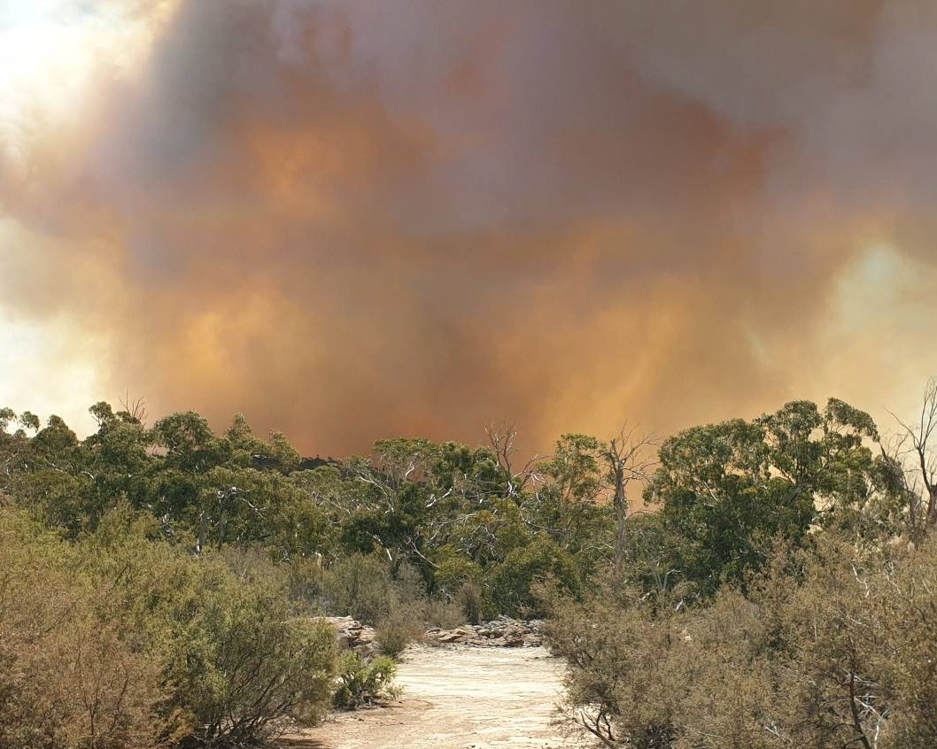 Narrabri Rural Fire Brigade update