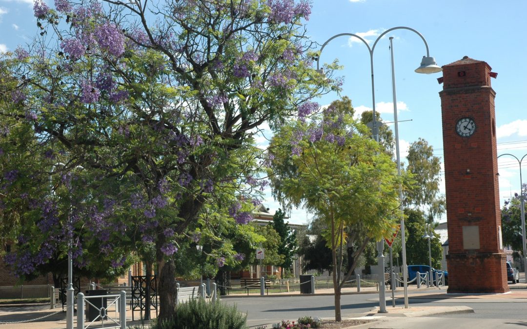 Security camera upgrade to monitor Wee Waa’s main street