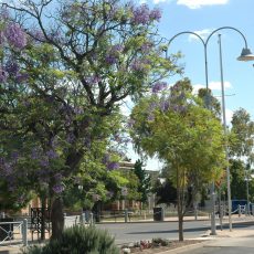 Security camera upgrade to monitor Wee Waa’s main street