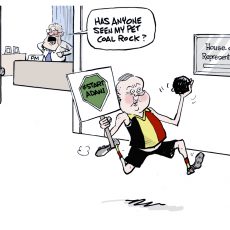 Cartoon 30/10/19