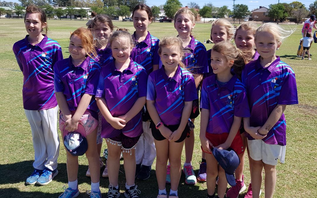 Inaugural NDJCA Sixers Girls Cricket League gets under way