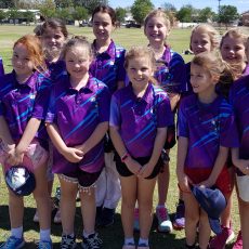 Inaugural NDJCA Sixers Girls Cricket League gets under way