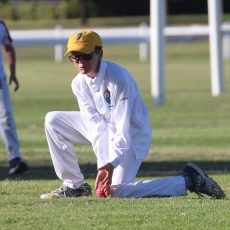 Juniors cricketers impress at Friday’s Hogan Oval T20 match