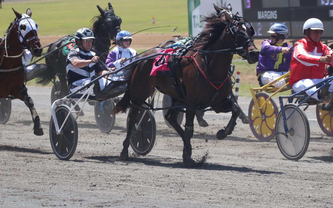 Narrabri pacers excel at Tamworth meeting