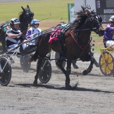 Narrabri pacers excel at Tamworth meeting