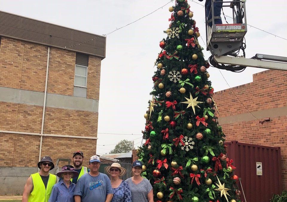 Festive tree for the CBD