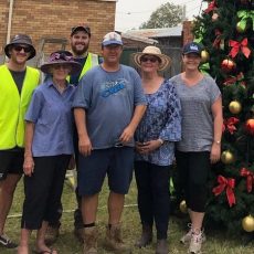 Festive tree for the CBD