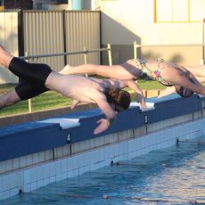 Stingrays host first race evening