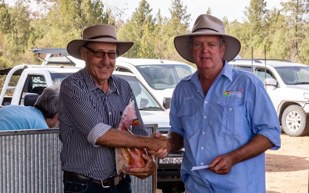 Narrabri Clay Target Club hosts its end of year Christmas shoot