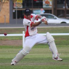 Razorbacks score a two-wicket win against RSL