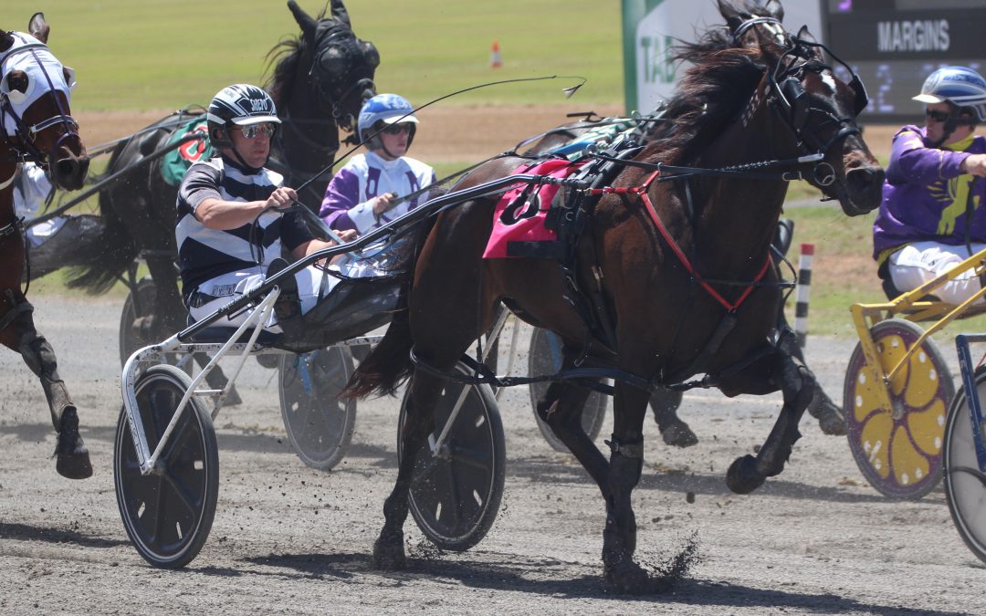Future Fun and Corporal Luna win in Tamworth