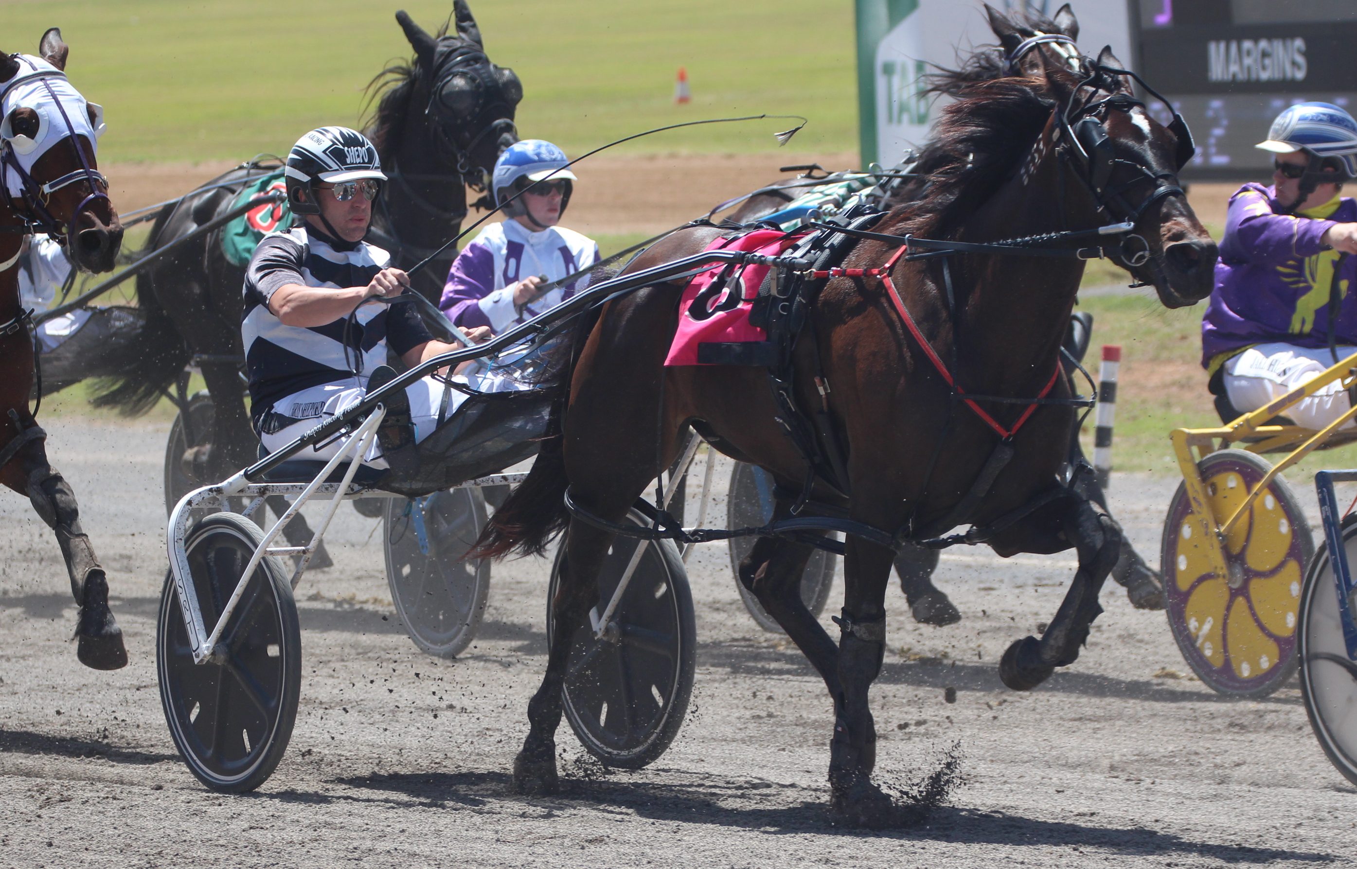 Future Fun and Corporal Luna win in Tamworth