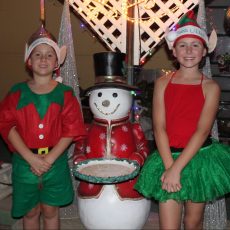 Boggabri Christmas lights fundraiser