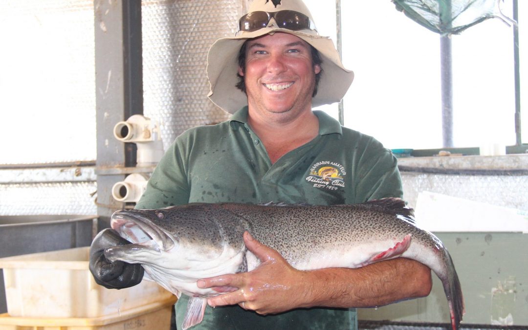 Ricko’s fish resort is a safe haven as drought bites