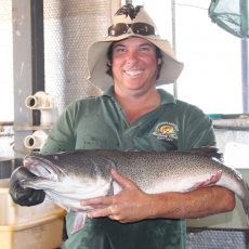 Ricko’s fish resort is a safe haven as drought bites