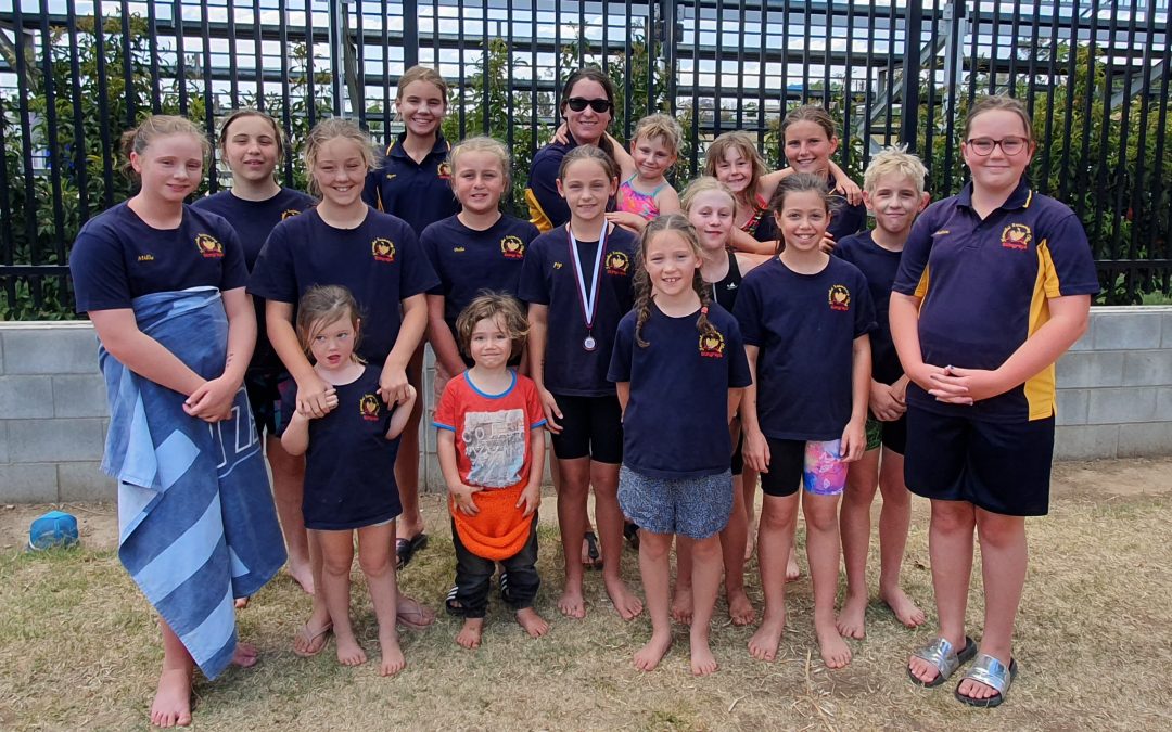Stingrays enjoy a busy November in the pool