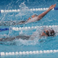 Wee Waa Swimming Club development carnival