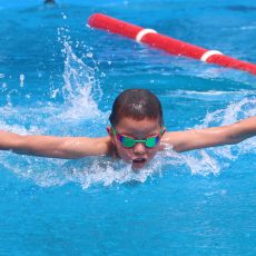 Karla’s Swim Team sweeps the pool at Wee Waa meet