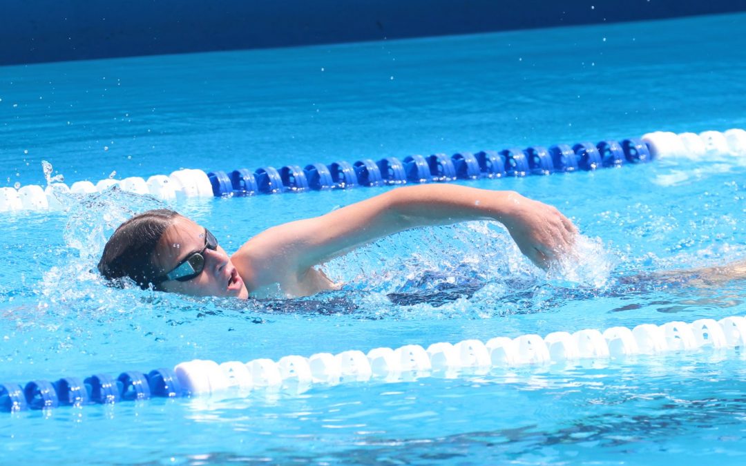 Shire residents swim free this summer