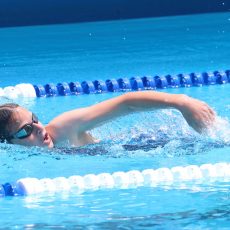Shire residents swim free this summer