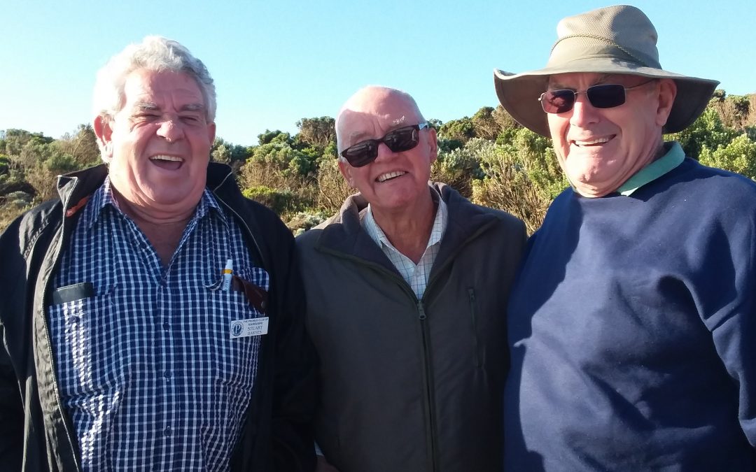 Probus members enjoy Great Ocean Road trip